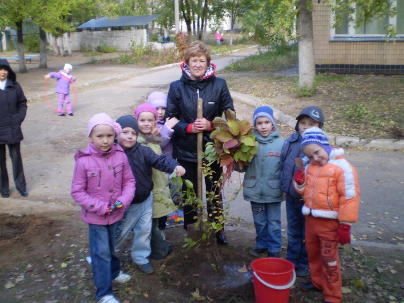 Районная акция «Посади дерево»МОУд/с№327