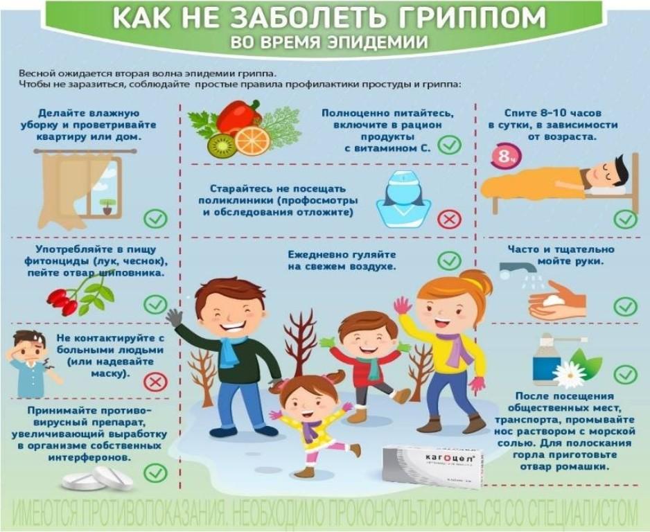 проф.гриппа.jpg