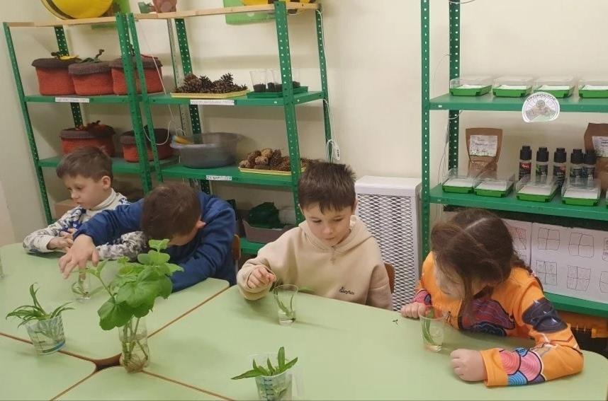 Изучение строение цветка