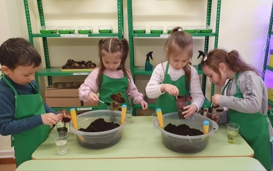 Посадка цветка для мамы