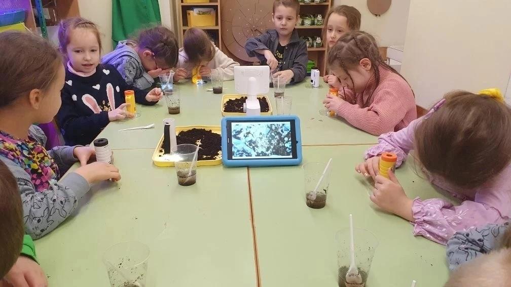 Дети рассматривают почву под микроскопом