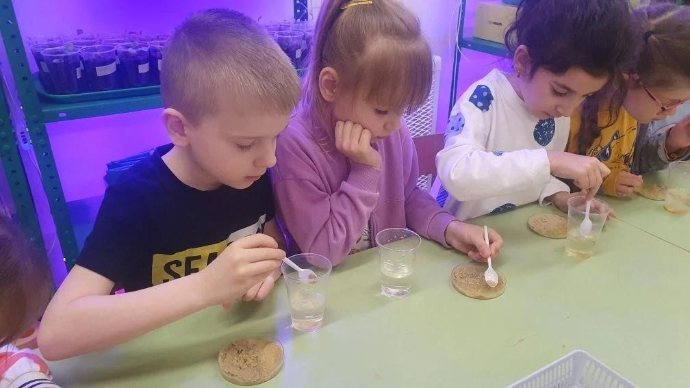Дети проверяют состав песка, насыпав его в воду