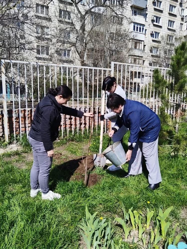 посадка деревьев