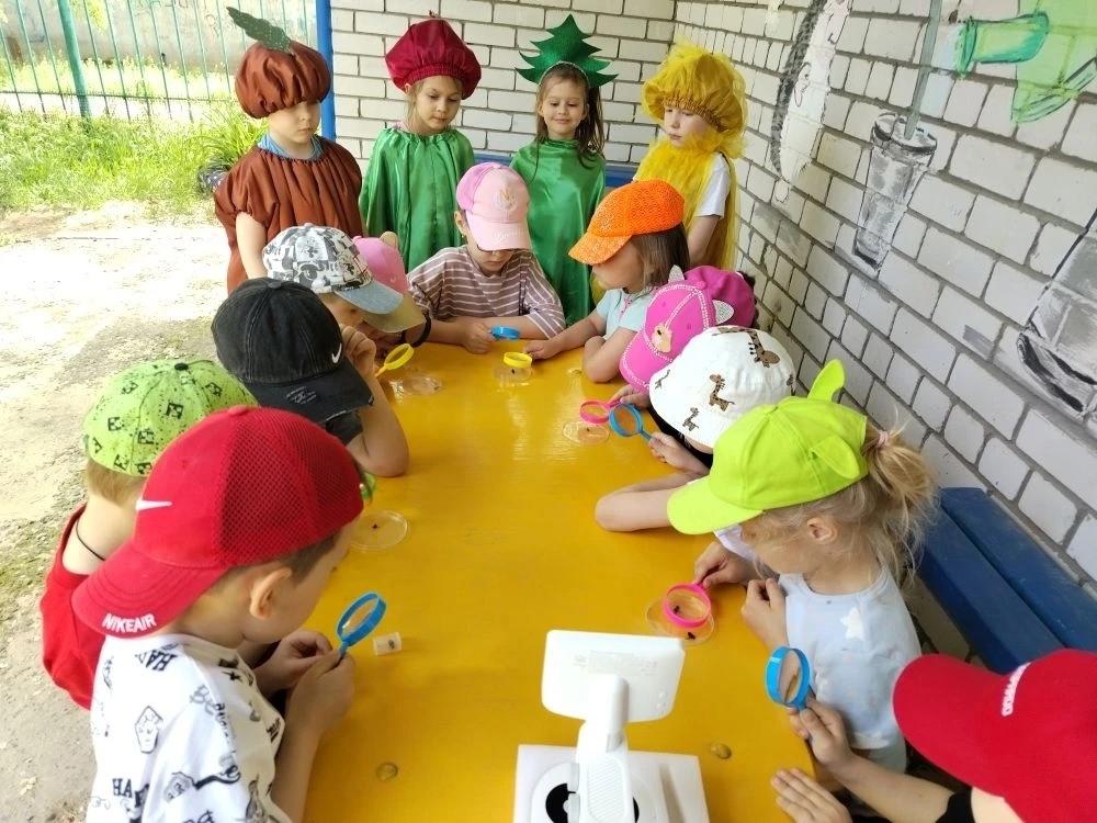 Эколята на экоуроке у ребят
