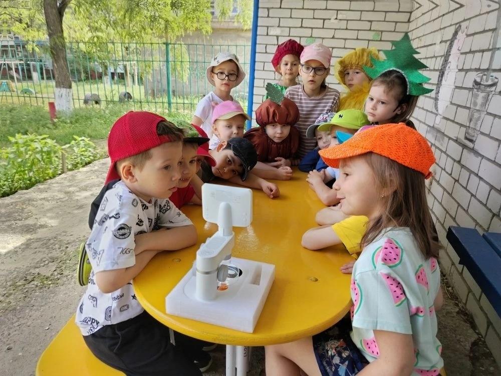 Ребята и Эколята рассматривают муравья под микроскопом