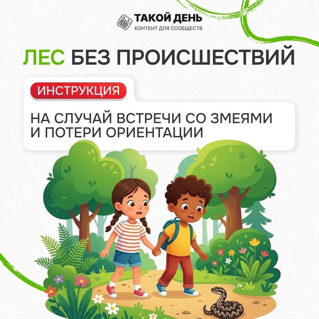 Инструкция на случай встречи со змеей