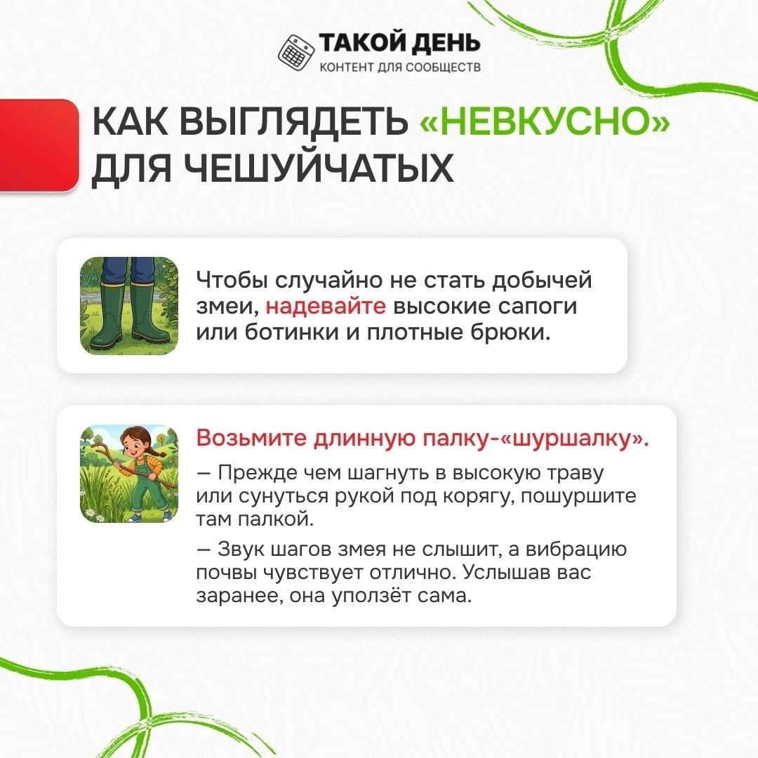 памятка о поведении при столкновении со змеей