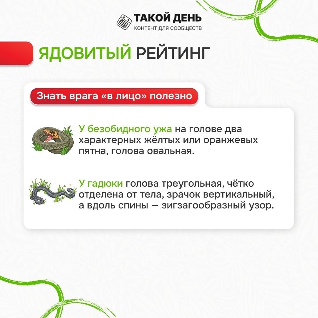 ядовитый рейтинг змей
