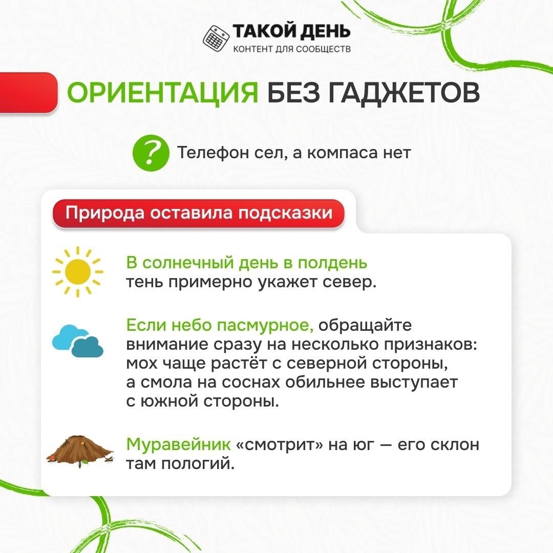 ориентация в лесу без гаджетов