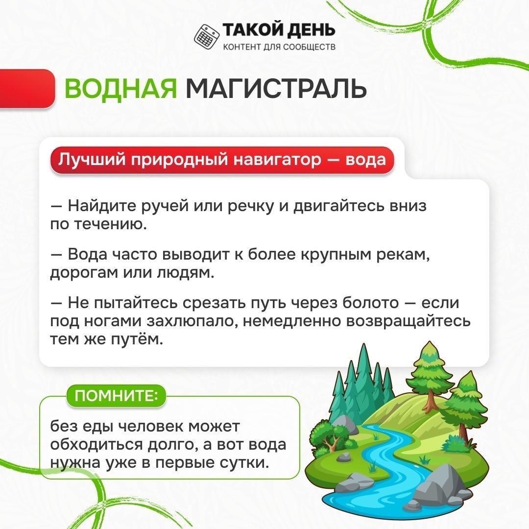 о навигаторе в лесу - воде