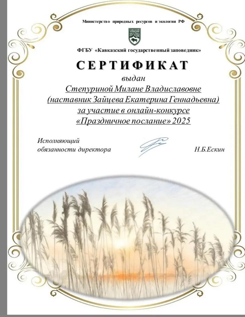 Сертификат участника Степурина М.В.