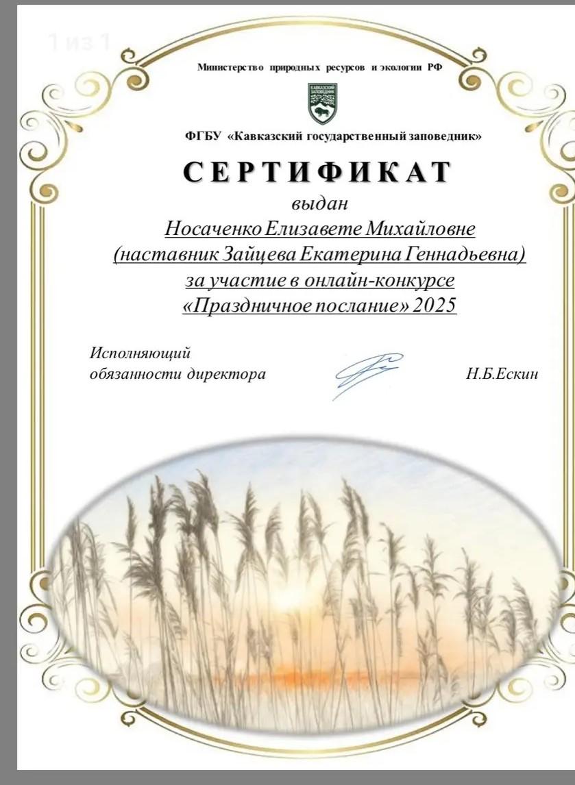 Сертификат Носаченко Е.М.