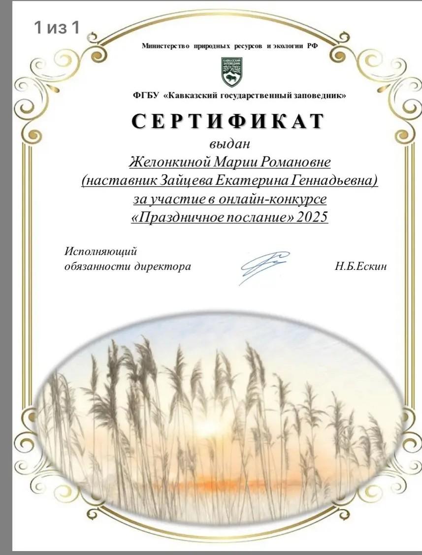 Сертификат Желонкиной М.Р.