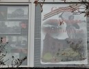 Сталинградские окна Сталинградские окна