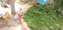 Наш маленький зеленый островок Труд в природе