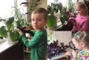 Экологическое воспитание Цветы - наши зеленые друзья