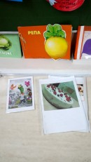 Книжка-малышка и рецепты от родителей Выставка книжек – малышек
«Овощное ассорти»
Рецепты от Родителей