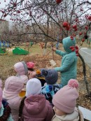 Для зимующих птиц развесили кормушки На участке детского сада