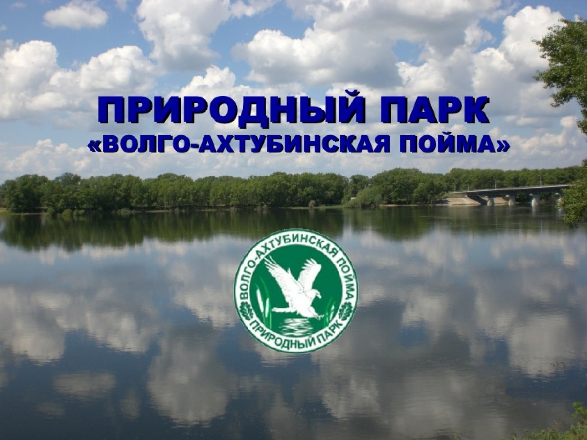 Природный парк Волго- Ахтубинская Пойма Волгоградской области
