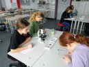 Урок биологии в 7 классе Работа с микроскопом