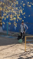 субботник субботник