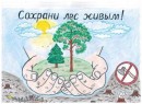 Акция Сохрани лес живым!