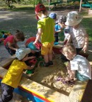 Лето 2022 Младшая группа