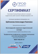 международный профстажировка
