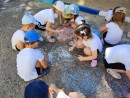 День Государственного Флага 4