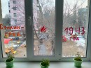 Сталинград! Сталинградские окна – особый патриотический проект, рождающий неподдельные чувства, основанные на личном отношении и сопереживании.