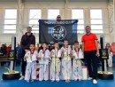 Фестиваль по тхэквондо Фестиваль по тхэквондо