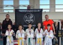 Фестиваль по тхэквондо Фестиваль по тхэквондо
