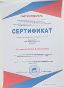 Сертификат. Сертификат участника Всероссийской конференции 