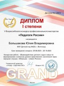 Диплом 1 степени. V Всероссийский конкурс профессионального мастерства 