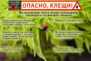 Осторожно, клещи! Внимание, клещи! Соблюдайте осторожность при посещении леса!