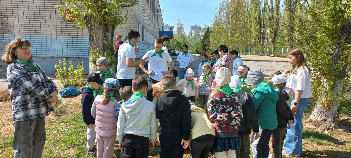 Акция Подари дереву жузнь