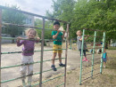 День защиты детей 1 июня 2024 года