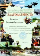 Благодарность. за организацию и участие в городском туристическом  фестивале 