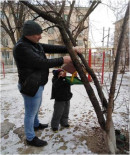 Своречник Акция "Помоги птицам"