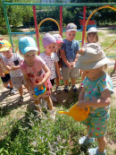 прогулка 10 группа