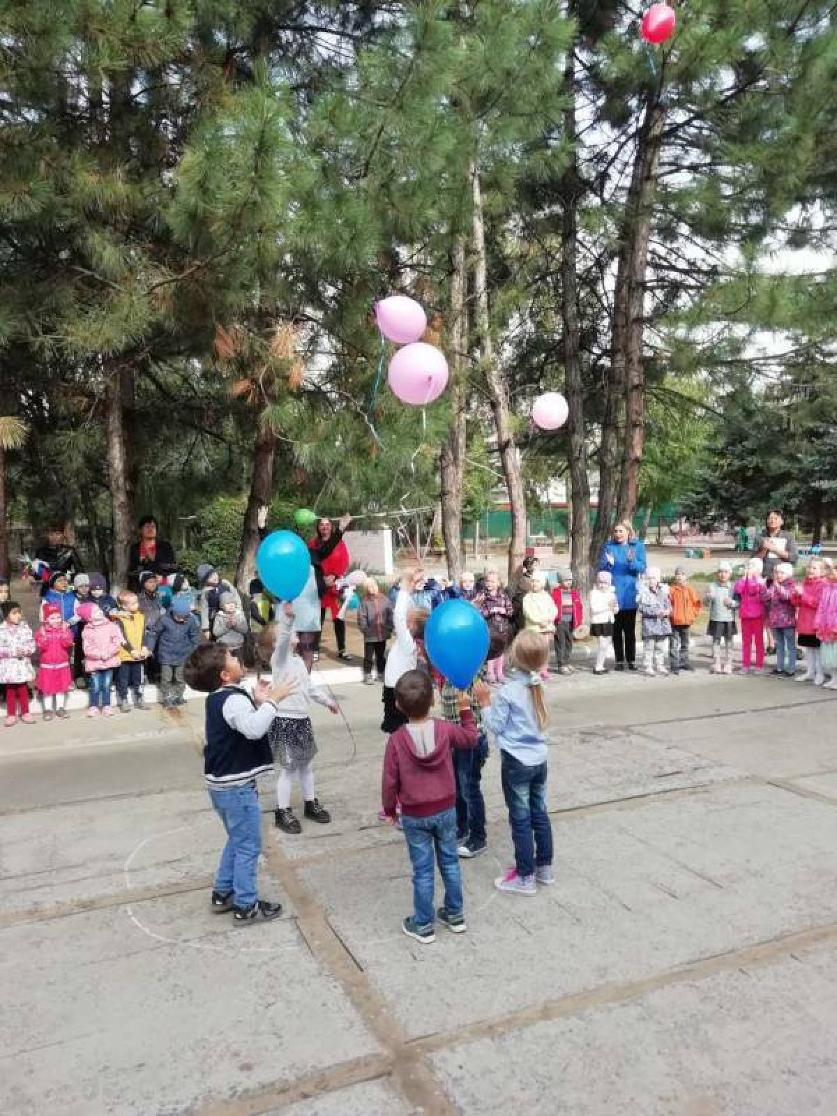 День мира 2019