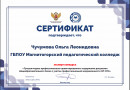Сертификат эксперта. Эксперт конкурса