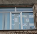 Сталинградские окна 6