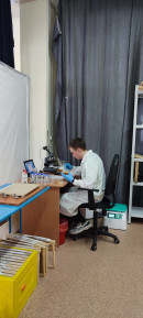 Первый день Пчеловодство Первый день Пчеловодство