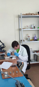 Второй день Пчеловодство Второй день Пчеловодство