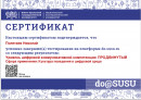 Сертификат Сертификат прохождение тестирования ур цифровой коммуникативной компетенции