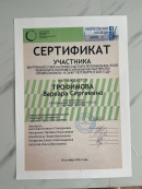 Профессионалы