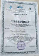 Вожатская деятельность. Сертификат