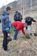 Аллея Победы Аллея Победы