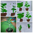  Натура одна, а изображения неповторимы...